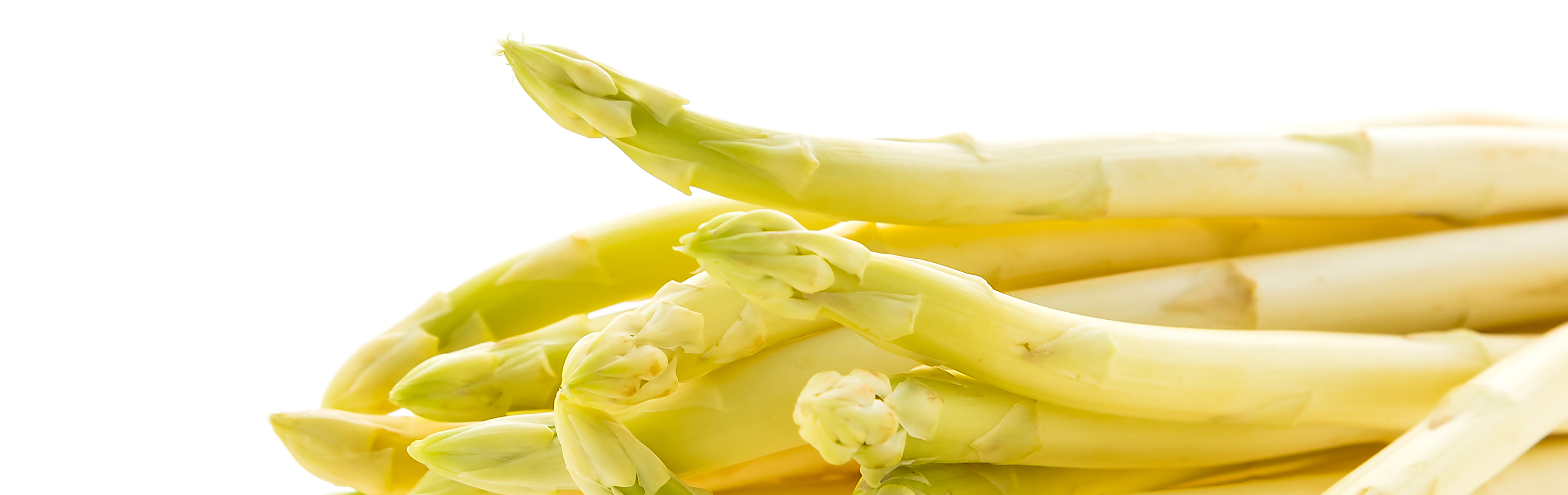 webseite_Slider_Spargel_bg